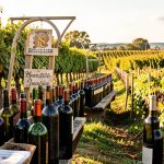 Homemade wine Louisiana