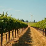 Wine tours Louisiana