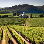 Felician Winery: Uncovering Louisiana's Wine Production Secrets