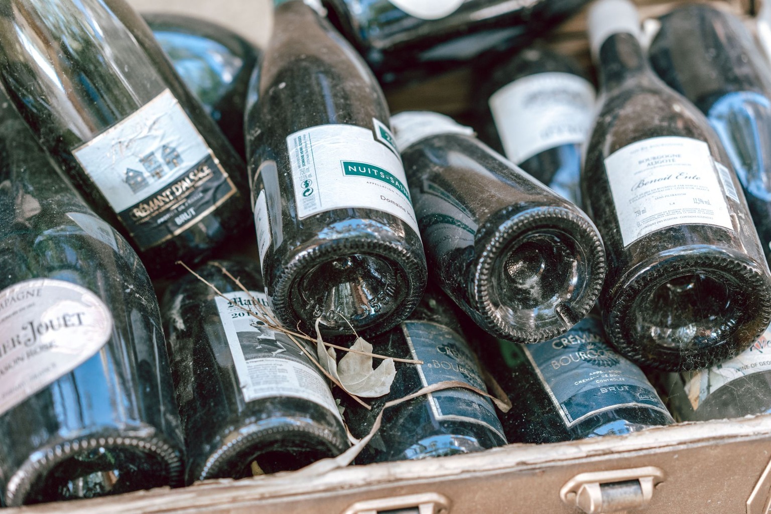 Dry Riesling from Louisiana: A Crisp Twist on Southern Tradition