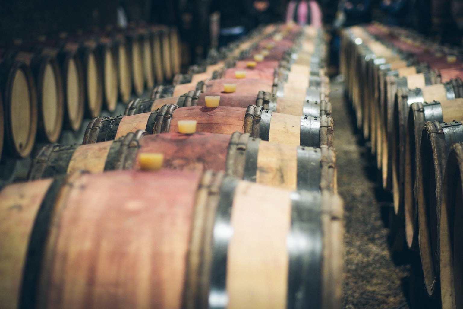 Gumbo Jambalaya and Louisiana Wines: A Flavor Fusion for 2026