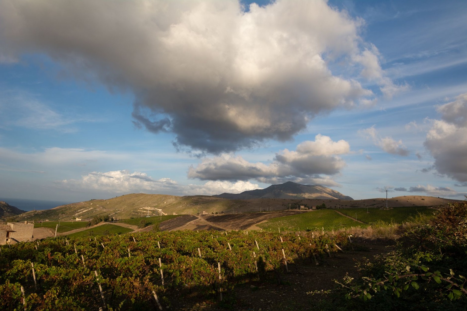 Gumbo Jambalaya and Louisiana Wines: A Flavor Fusion for 2026 — Sustainability and the Future of Louisiana Wine