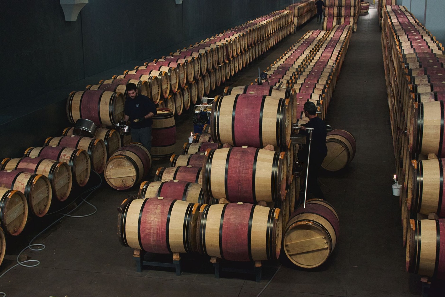 How Local Louisiana Wineries Use Oak Aging to Enhance Their Wines
